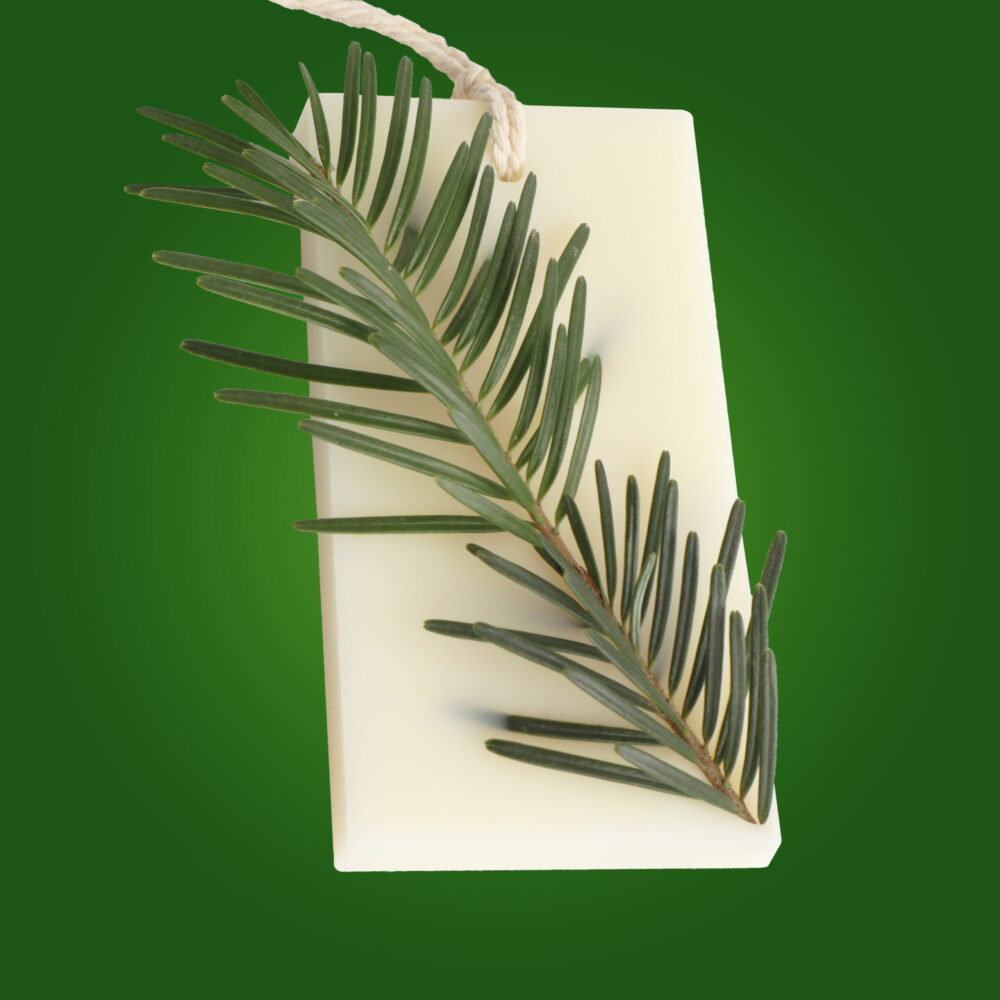 Tableta parfumata din ceara de soia, CHRISTMAS - Brad, Pin, Cedru, Dreptunghi, fundal verde