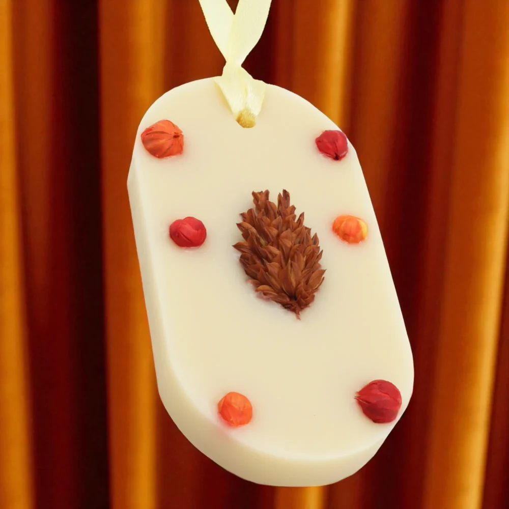 Odorizant Dulap Haine, Candelina, PUMPKIN SPICE - Dovleac, Scorțișoară, Nucșoară, Cuișoare, Oval, tableta parfumata, ceara soia, in dulap