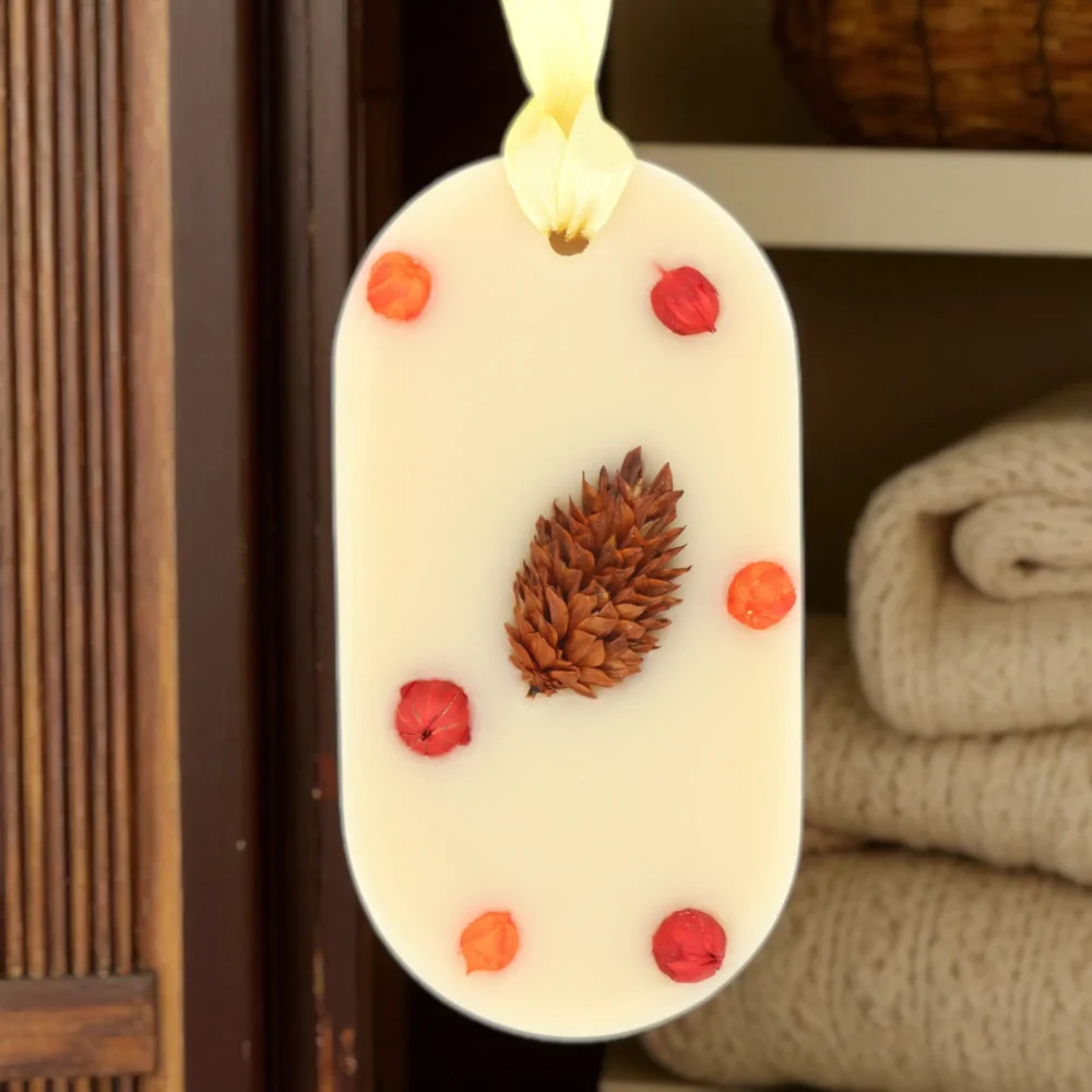 Odorizant Dulap Haine, Candelina, PUMPKIN SPICE - Dovleac, Scorțișoară, Nucșoară, Cuișoare, Oval, tableta parfumata, ceara soia, in dulap 2