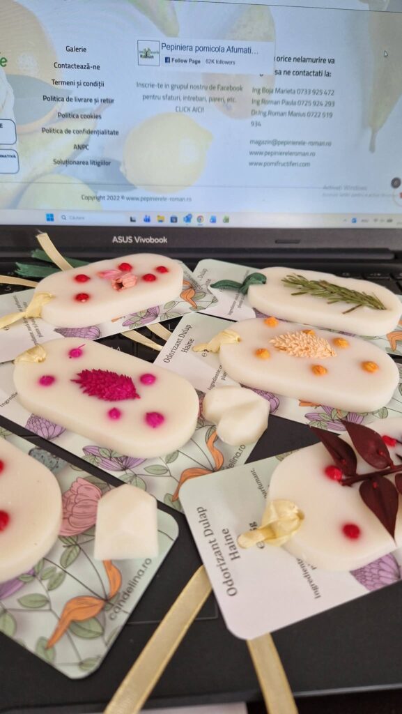 Image #1 from Paula Roman